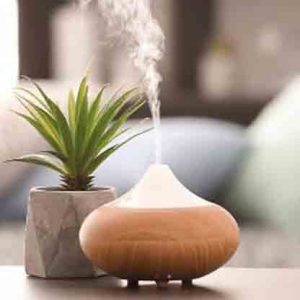 Diffuser & Ambient Fragrances