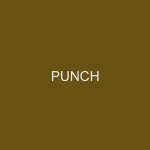 Punch