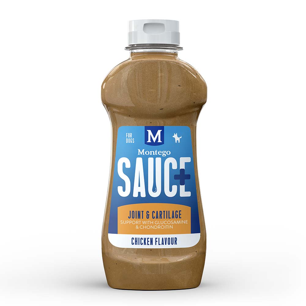 Best Quality Wet Food & Sauces For Dogs Go Delivery