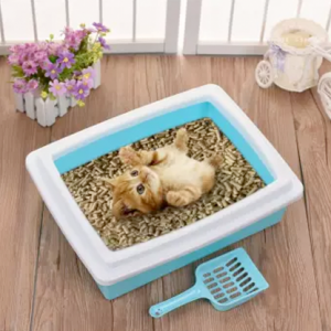 Cat Sand